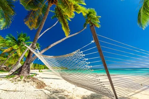 Empty hammock in the shade of palm trees, Fiji Islands Stock Photos