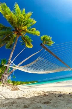 Empty hammock in the shade of palm trees, Fiji Islands Stock Photos