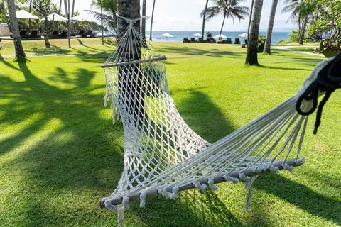 Empty hammock in the shade of palm trees. High quality image Stock Photos