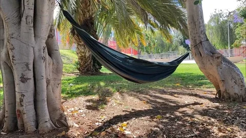 Empty Hammock Swaying Between Large Trees Video stock 334057013
