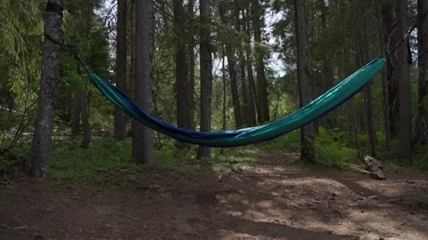 Empty Hammock Swaying in Forest Stock Footage 310766054