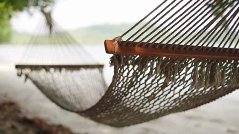Empty Hammock Swinging on a Tropical Beach Video stock 336399612