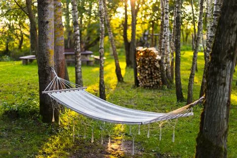 Empty hammock with tinsels between trees trunks in park Stock Photos
