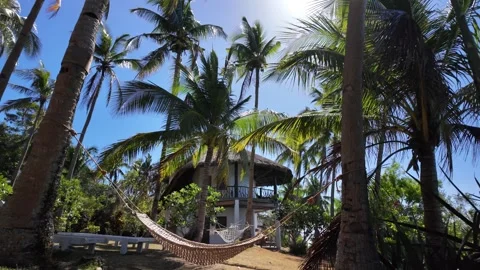 Empty Hammock In Tropical Resort Видео 336637719
