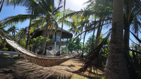 Empty Hammock At Tropical Resort Vidéo 336637766