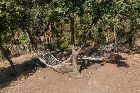 Empty hammocks  in the woods Stock Photos