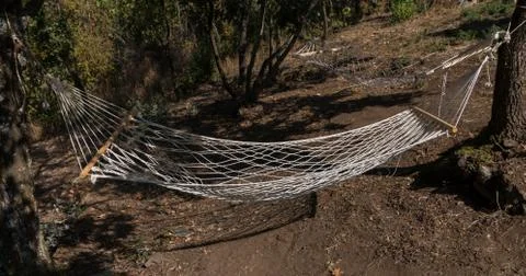 Empty hammocks  in the woods Stock Photos