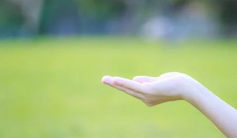 Empty hand in closeup holding gesture,light green eco background,with copy sp Stock Photos