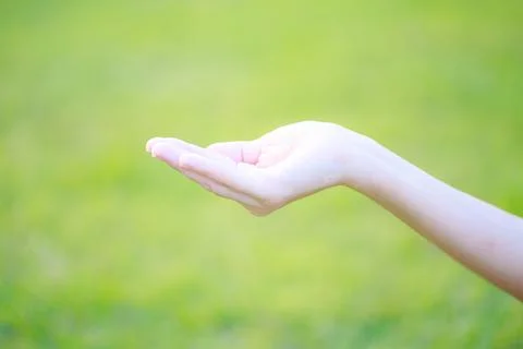 Empty hand in closeup holding gesture,light green eco background,with copy sp Stock Photos