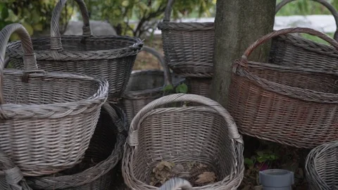 Empty harvest baskets stacked under the tree Stock Footage 123980467