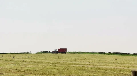 Empty hay trailer and tractor on farm track across mown field Video stock 43671692