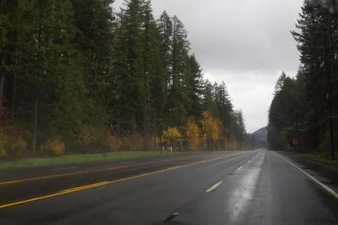Empty highway in the forest 스톡 사진