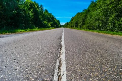 Empty highway with green forest on both sides Stock Photos