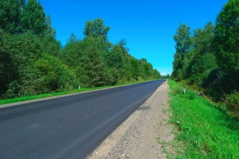 Empty highway with green forest on both sides Stock Photos