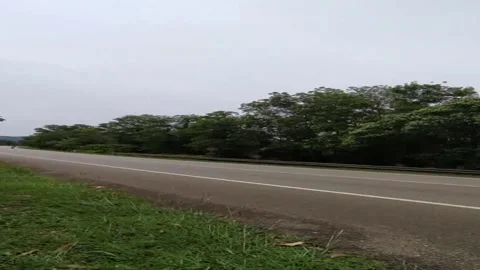 Empty Highway Road with Green Trees 4K Stock Video Stock Footage 335957515