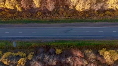 An empty highway runs through a picturesque area. Forest lands, variegated Stock Footage 163958643