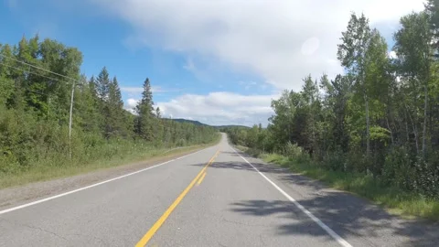 Empty highway stretching through green forest landscape Видео 331290656