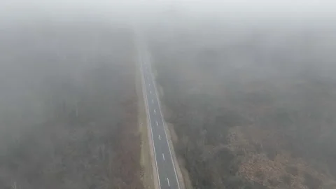 Empty highway through the forest in a mystical fog. Stock Footage 221135415