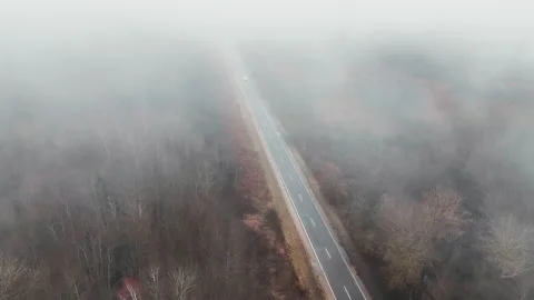 Empty highway through the forest in a mystical fog. Stock Footage 221135620