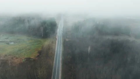 Empty highway through the forest in a mystical fog. Stock Footage 221135622