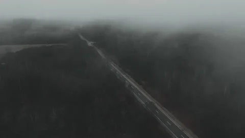Empty highway through the forest in a mystical fog. Stock Footage 221135782