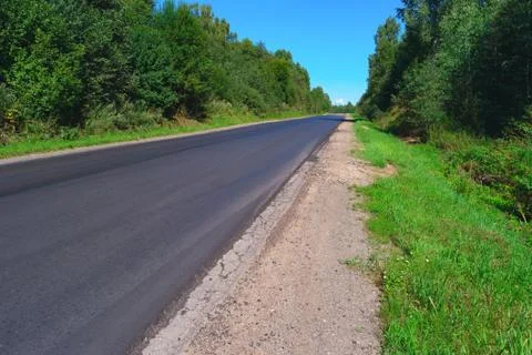 Empty highway through green forest Stock Photos