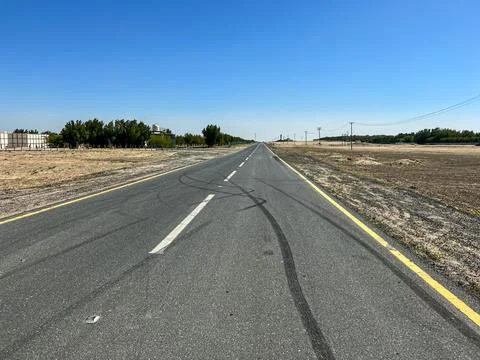 Empty highway with trees in farm Stock Photos