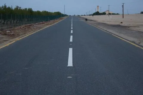 Empty highway with trees in farm Stock Photos