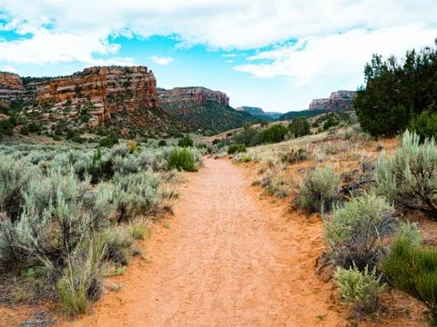 Empty hiking path in desert Foto stock