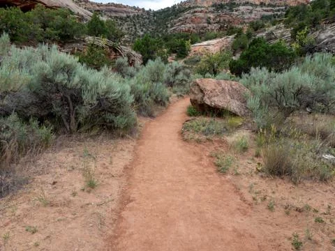 Empty hiking path in desert Stock Photos