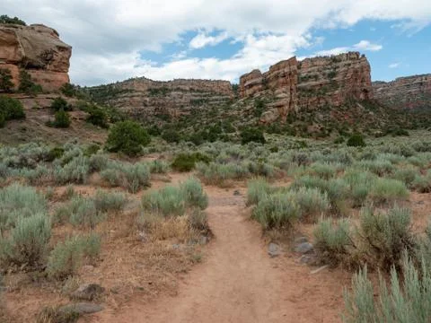 Empty hiking path in desert Stock Photos