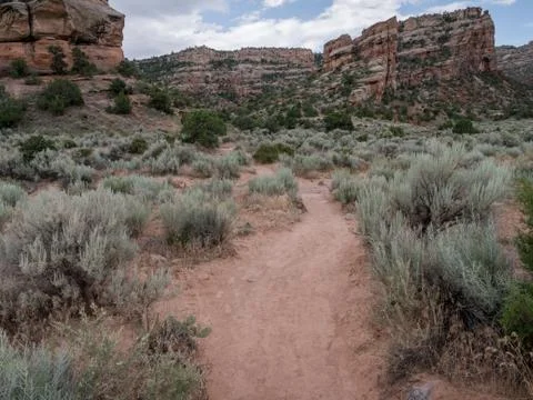 Empty hiking path in desert Stock Photos