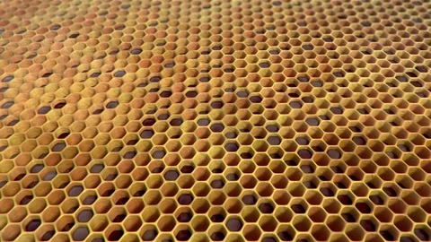 Empty hive, looping animation Stock Footage 88829370