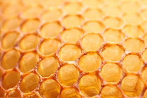 Empty honeycomb Stock Photos