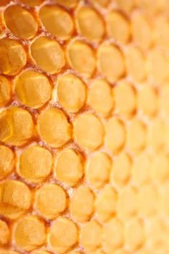 Empty honeycomb Stock Photos