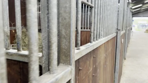 Empty Horse Stables At The Barn Stock Footage 219674568