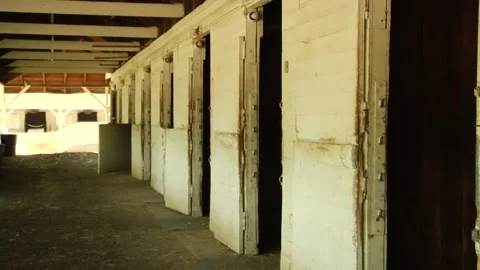 Empty horse stables Stock Footage 159908801