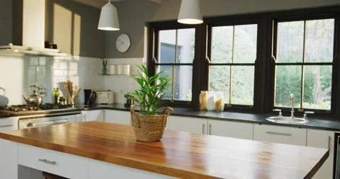 Empty house interior with kitchen window and plant on table, slow motion Video stock 231826382