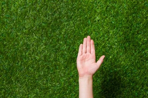 Empty human hand Stock Photos