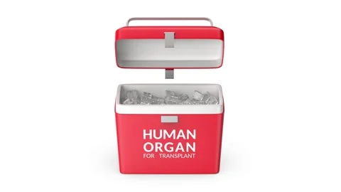 Empty human organ transport box Stock Footage 306211544