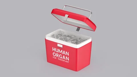 Empty human organ transport box Stock Footage 310895429