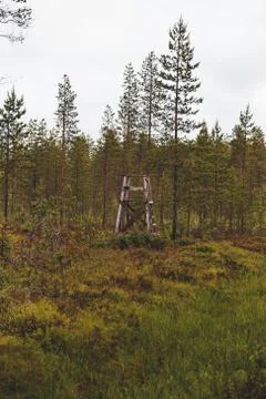 Empty hunting tower in the forest Foto stock