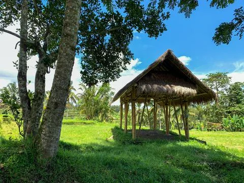 An empty hut in the middle of a rice field Stock-Fotos