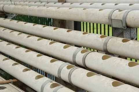 Empty hydroponic pipes Stock Photos