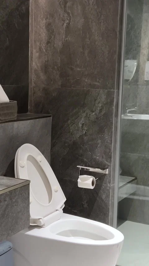 Empty Interior of modern gray bathroom with mirror, sink, toilet and shower with Stock Footage 306937147