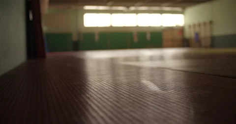 Empty Judo gym Stock Footage 227863863