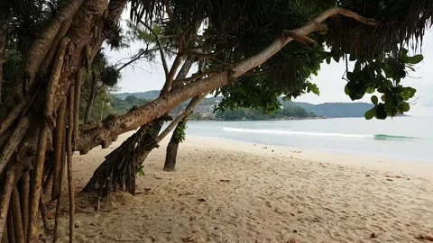 Empty Kata Beach in Thailand closed due to Cove 19 Stock Footage 132098041