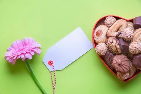 Empty label and pink flower Stock Photos