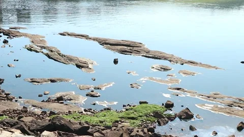 Empty Lake on Gloomy Day Stock Footage 274573829