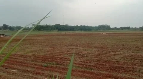 Empty land Stock Footage 242337173